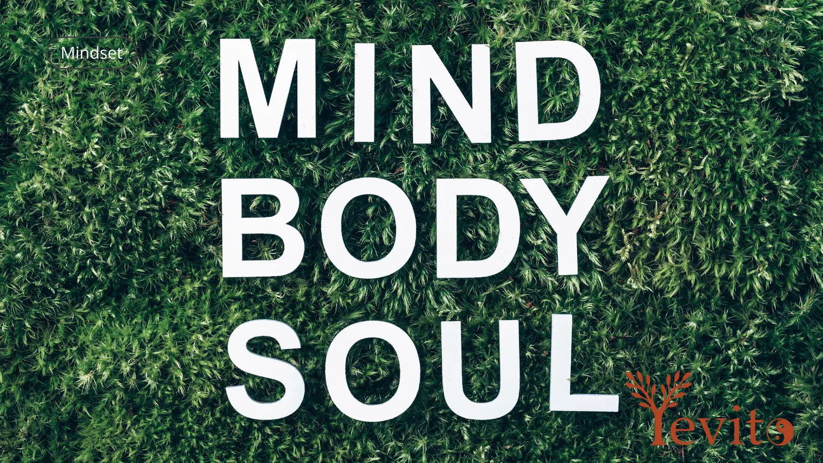 Gesundheit als oberste Priorität: Fundament für Klarheit, Balance und innere Stärke