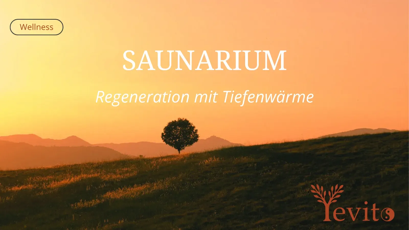 Bauer Infrarot Saunarium – Tiefenwärme für Zuhause