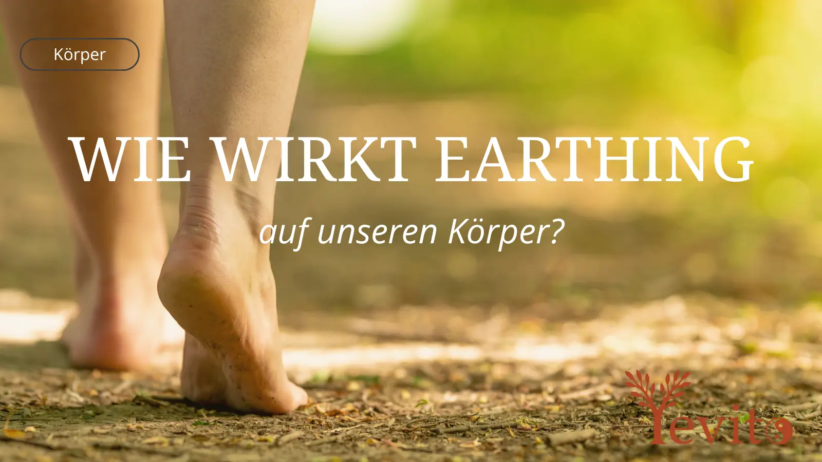 Earthing: Was Erdung bewirken kann – Studien & Erfahrungen im Überblick