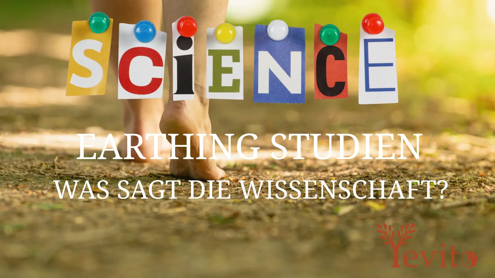 📊 Studien zu Earthing: Was sagt die Wissenschaft zur Erdung?